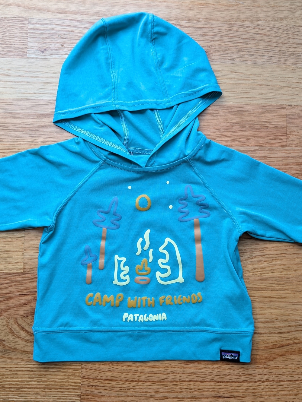 Patagonia Kids Turquoise Hoodie with 'Camp With Friends' Graphic